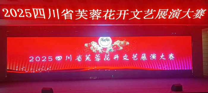2025芙蓉花开文艺展演精彩瞬间