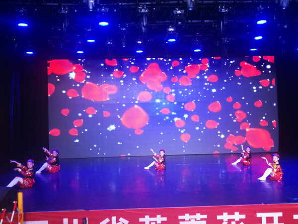 2022芙蓉花开节目精彩瞬间